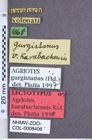 Etikette zu Agriotes karabachensis (NHMW-ZOO-COL-0008406)